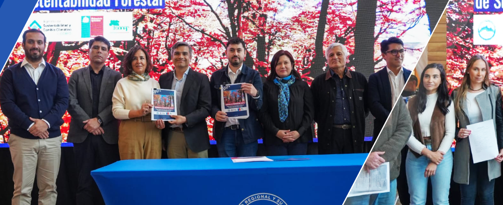 APL_bosque_coyhaique