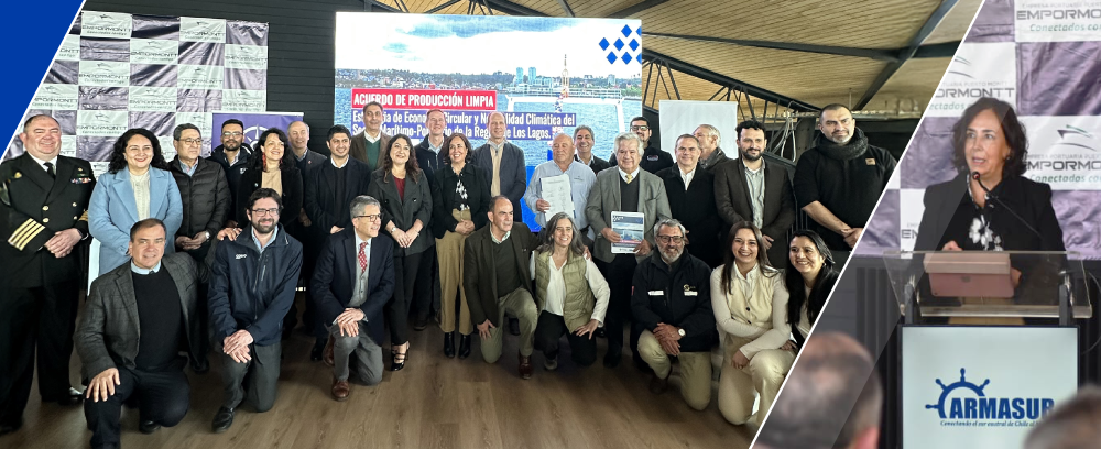 apl_armasur apl_armasur