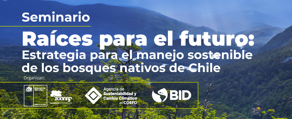seminario_raices