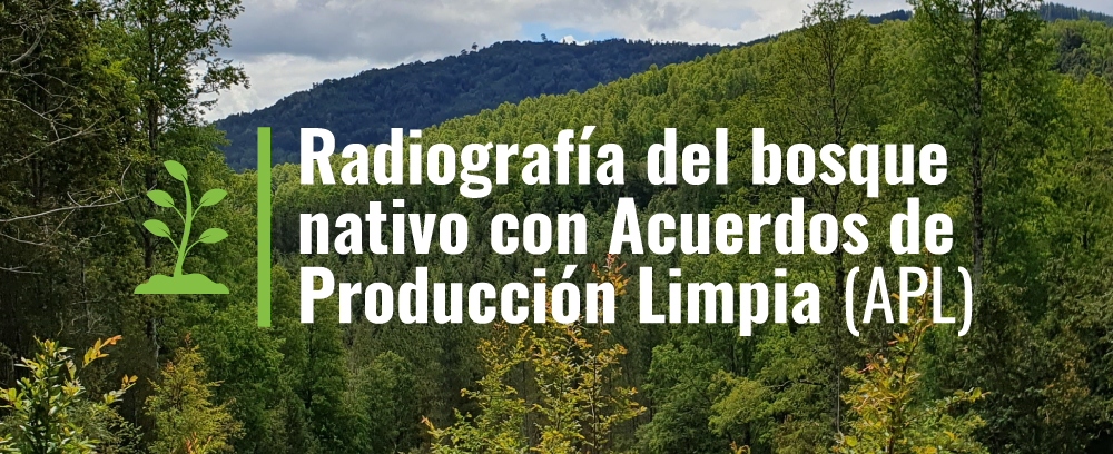 bosques_con_apl